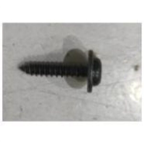 Tesla Model Y Torx Sac Vidası 4.2x20 (Model Y 2025+) Orijinal 1014049-00-A