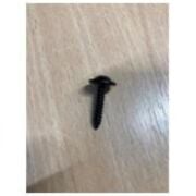 Tesla Model Y Pullu Torx Sac Vidası 4.2x20 (Model Y 2025+) Orijinal 1014049-00-B