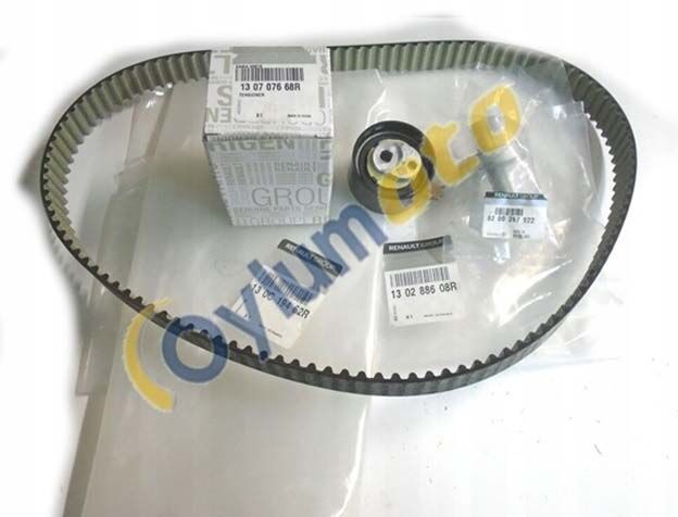Renault Eksantrik Kayış Kiti Duster Megane IV Talisman EURO 6 Motor Orijinal Mais 130C19462R